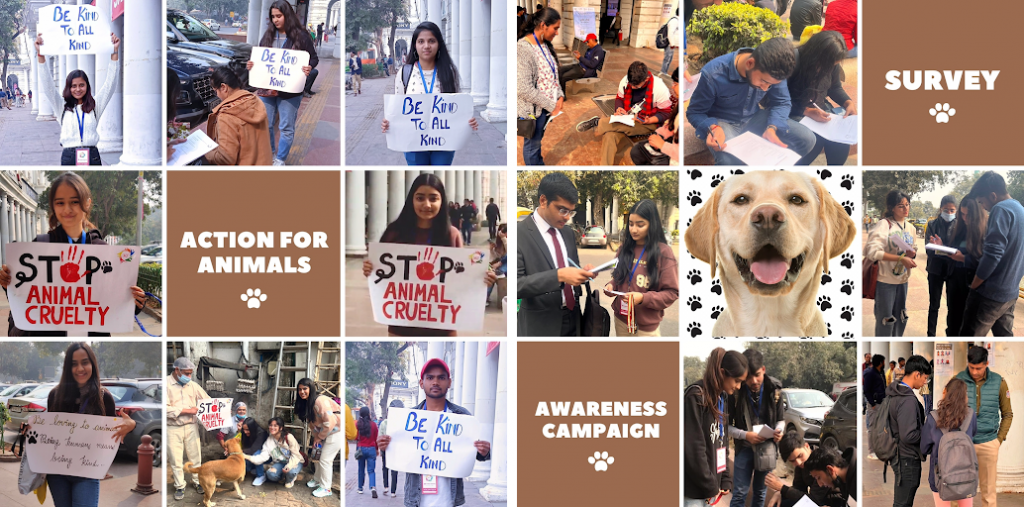 ACTION FOR ANIMALS - SK Children Foundation: NGO in Delhi