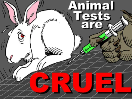 Animal testing