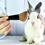 <strong>ETHICS IN THE COSMETICS INDUSTRY</strong>