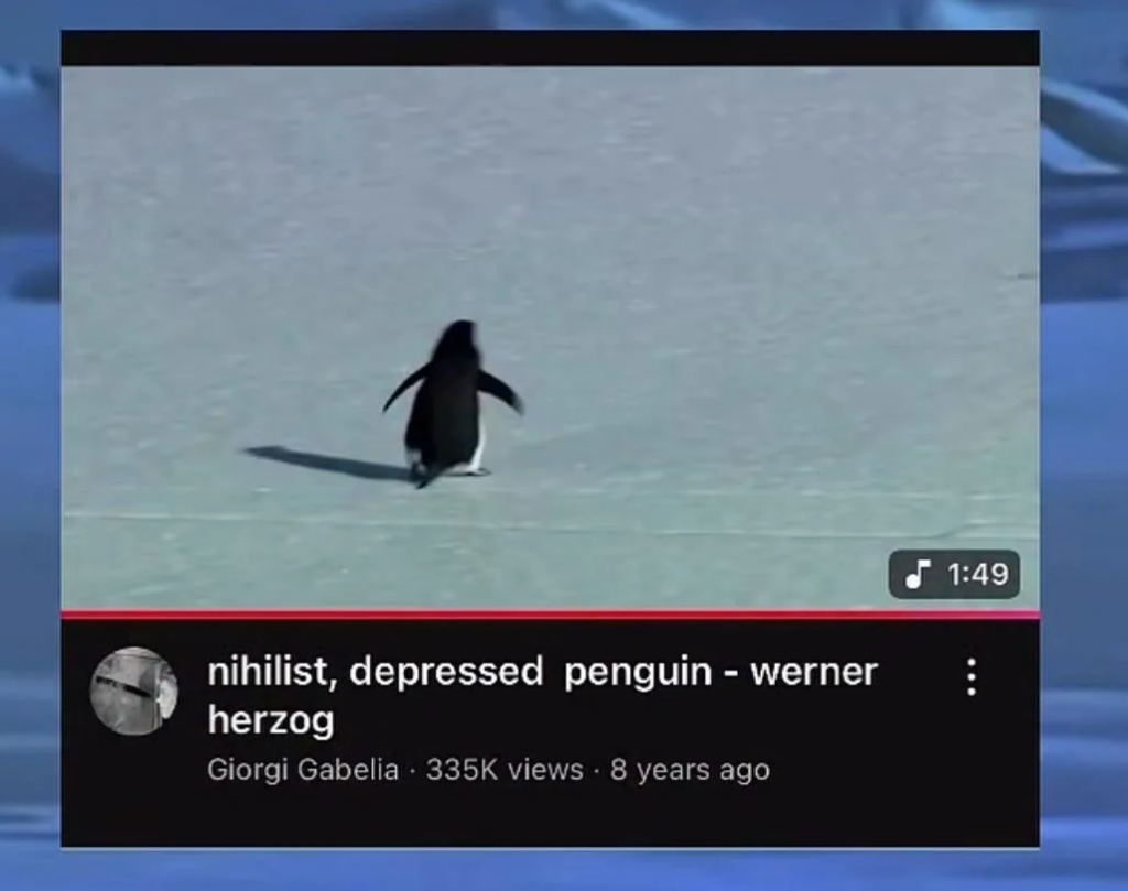 Depressed nihilist penguin